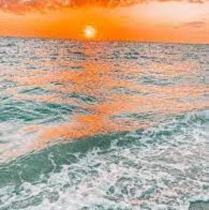 Meet your Posher, Fiona